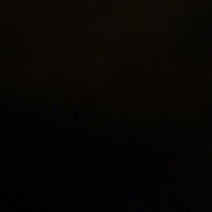 Meet your Posher, Shayla